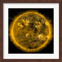 Magnetic Field lines on the Sun Fine Art Print