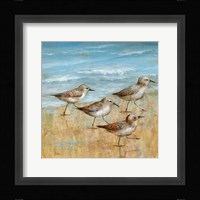 Sandpipers I Framed Print