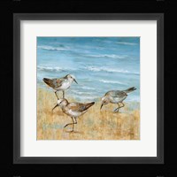 Sandpipers II Fine Art Print