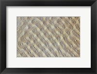 Sand dunes in the Fachi-Bilma erg (sand sea) in the Central-Eastern part of the Tenere Desert Fine Art Print