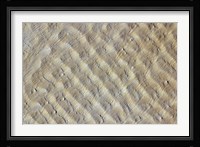 Sand dunes in the Fachi-Bilma erg (sand sea) in the Central-Eastern part of the Tenere Desert Fine Art Print