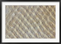 Sand dunes in the Fachi-Bilma erg (sand sea) in the Central-Eastern part of the Tenere Desert Fine Art Print