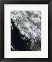 Fog and Snow in British Columbia Fine Art Print