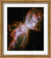 The Butterfly Nebula Fine Art Print