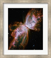 The Butterfly Nebula Fine Art Print