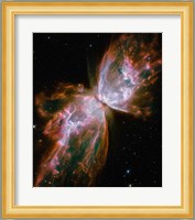 The Butterfly Nebula Fine Art Print