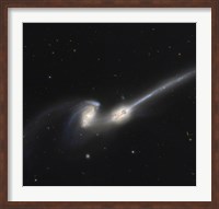 NGC 4676, also Known as the Mice Galaxies Fine Art Print
