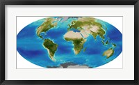 Average Plant Growth of the Earth Fine Art Print