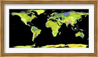 Digital Elevation Model of the Continents on Earth Fine Art Print