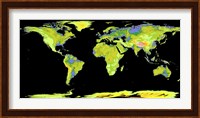 Digital Elevation Model of the Continents on Earth Fine Art Print