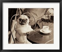 Cafe Pug Fine Art Print