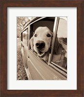 Are we there Yet? Fine Art Print