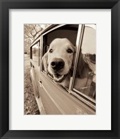 Are we there Yet? Fine Art Print