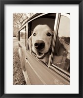 Are we there Yet? Framed Print