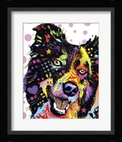 Border Collie 1 Fine Art Print