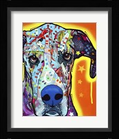Great Dane Fine Art Print