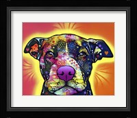 Love A Bull Fine Art Print