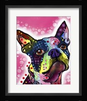 Boston Terrier Fine Art Print