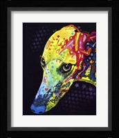 Greyhound Fine Art Print