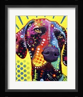 German Short Hair Pointer Framed Print
