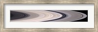 Saturn's Ring System Fine Art Print