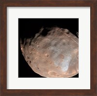 Mars Moon Phobos Fine Art Print