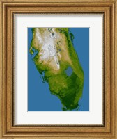 Southern Florida Fine Art Print