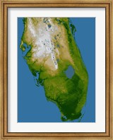 Southern Florida Fine Art Print
