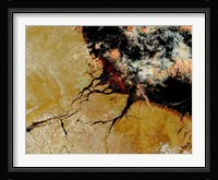 Amazon River in Northern Brazil Fine Art Print