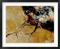 Amazon River in Northern Brazil Fine Art Print