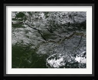 Brazilian Amazon River Fine Art Print