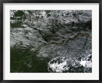 Brazilian Amazon River Framed Print