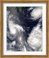Three different Typhoons Spinning over the Western Pacific Ocean Fine Art Print