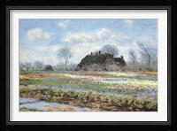 Tulip Fields at Sassenheim Fine Art Print