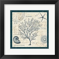 Ocean Life IV Framed Print