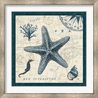 Ocean Life V Fine Art Print