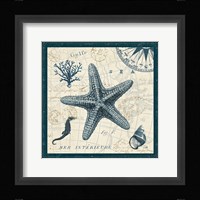 Ocean Life V Fine Art Print
