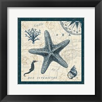 Ocean Life V Framed Print