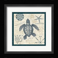Ocean Life VI Framed Print
