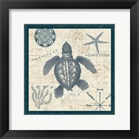 Ocean Life VI Fine Art Print