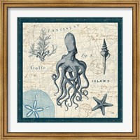 Ocean Life VII Fine Art Print