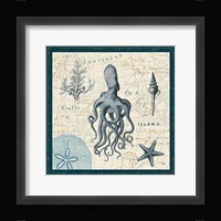 Ocean Life VII Framed Print