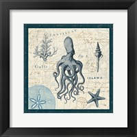 Ocean Life VII Framed Print