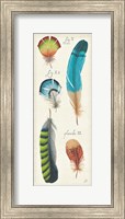 Ornithology III Panel Fine Art Print