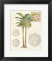 Vintage Palm Study I Fine Art Print