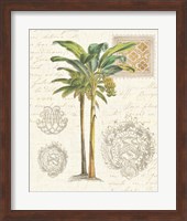 Vintage Palm Study I Fine Art Print