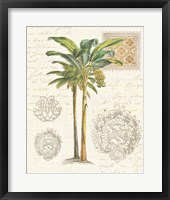 Vintage Palm Study I Framed Print