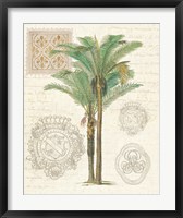 Vintage Palm Study II Fine Art Print