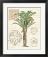Vintage Palm Study II Framed Print
