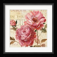 Harmonious VI v.2 Framed Print